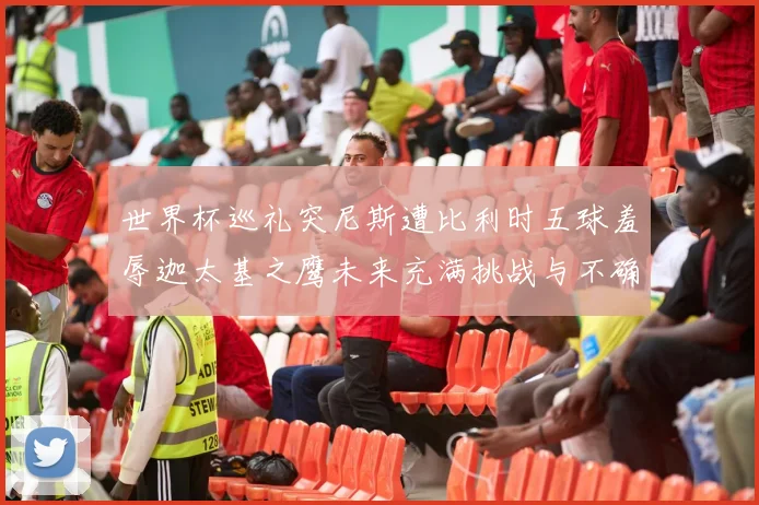世界杯巡礼突尼斯遭比利时五球羞辱迦太基之鹰未来充满挑战与不确定性