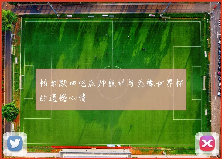 帕尔默回忆瓜帅教训与无缘世界杯的遗憾心情